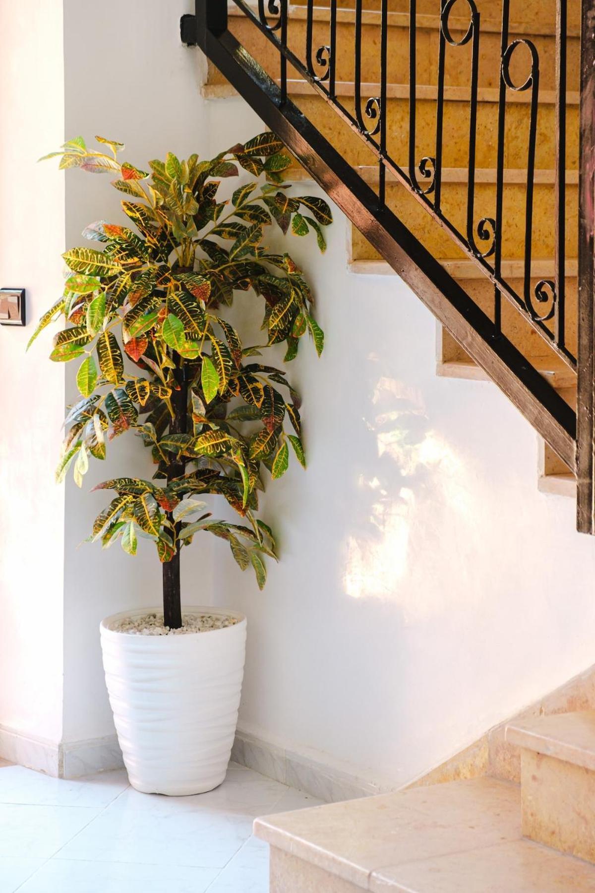 4 Bedrooms With Private Pool In Marrakech